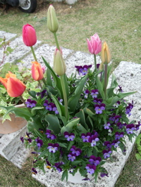 ファイル 326-2.jpg