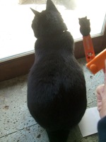 ファイル 3260-3.jpg