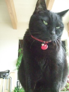 ファイル 3264-1.jpg