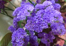 ファイル 3266-1.jpg