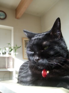 ファイル 3267-1.jpg