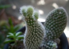 ファイル 3268-1.jpg