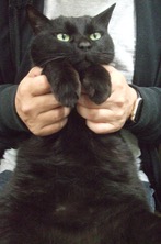 ファイル 3271-1.jpg