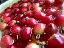 ファイル 3272-1.jpg