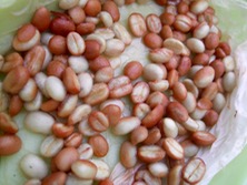 ファイル 3273-1.jpg