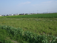 ファイル 328-3.jpg