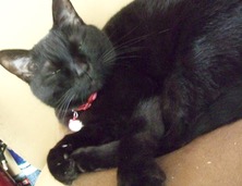 ファイル 3281-1.jpg