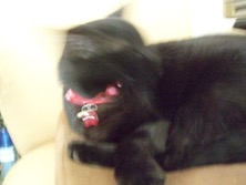 ファイル 3281-2.jpg