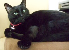 ファイル 3281-3.jpg