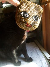 ファイル 3286-3.jpg