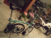 ファイル 329-1.jpg