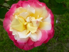 ファイル 3290-1.jpg