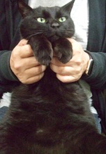 ファイル 3291-2.jpg