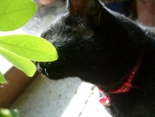 ファイル 3291-3.jpg