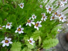 ファイル 3292-1.jpg