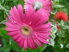 ファイル 3293-1.jpg