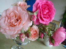 ファイル 3294-1.jpg