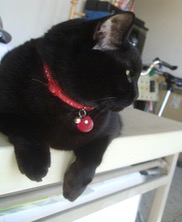 ファイル 3297-1.jpg