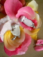 ファイル 3297-2.jpg