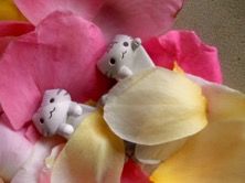 ファイル 3297-3.jpg