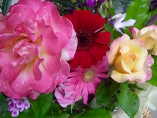 ファイル 3298-1.jpg