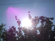 ファイル 3300-2.jpg