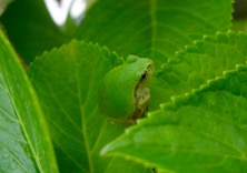 ファイル 3304-1.jpg