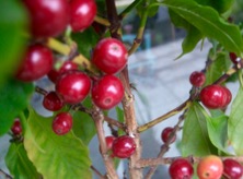 ファイル 3305-1.jpg