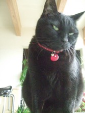 ファイル 3307-1.jpg