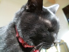 ファイル 3307-3.jpg