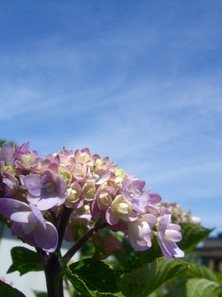 ファイル 3309-4.jpg