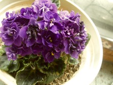 ファイル 3310-1.jpg