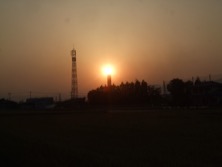 ファイル 3311-1.jpg