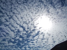 ファイル 3312-2.jpg