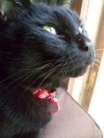 ファイル 3313-1.jpg