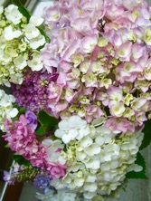 ファイル 3314-2.jpg