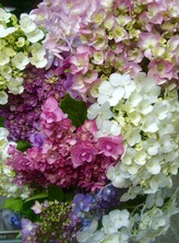 ファイル 3314-3.jpg