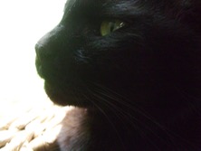 ファイル 3317-1.jpg