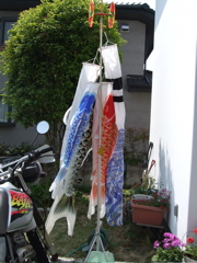 ファイル 332-1.jpg