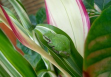 ファイル 3320-1.jpg