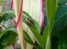 ファイル 3320-2.jpg