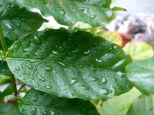 ファイル 3321-1.jpg