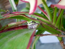 ファイル 3326-2.jpg