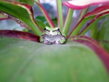 ファイル 3326-3.jpg