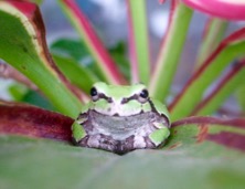 ファイル 3326-4.jpg