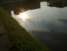 ファイル 3328-1.jpg