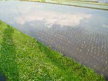 ファイル 3328-2.jpg