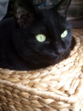 ファイル 3334-2.jpg