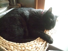 ファイル 3334-4.jpg