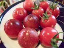 ファイル 3338-1.jpg